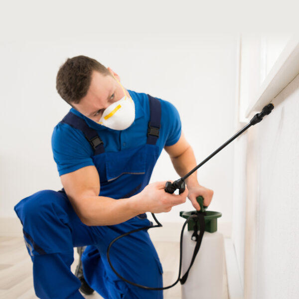 Pest-Control-02
